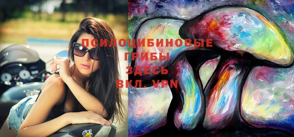 молекула духа Надым