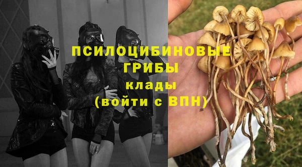 молекула духа Надым